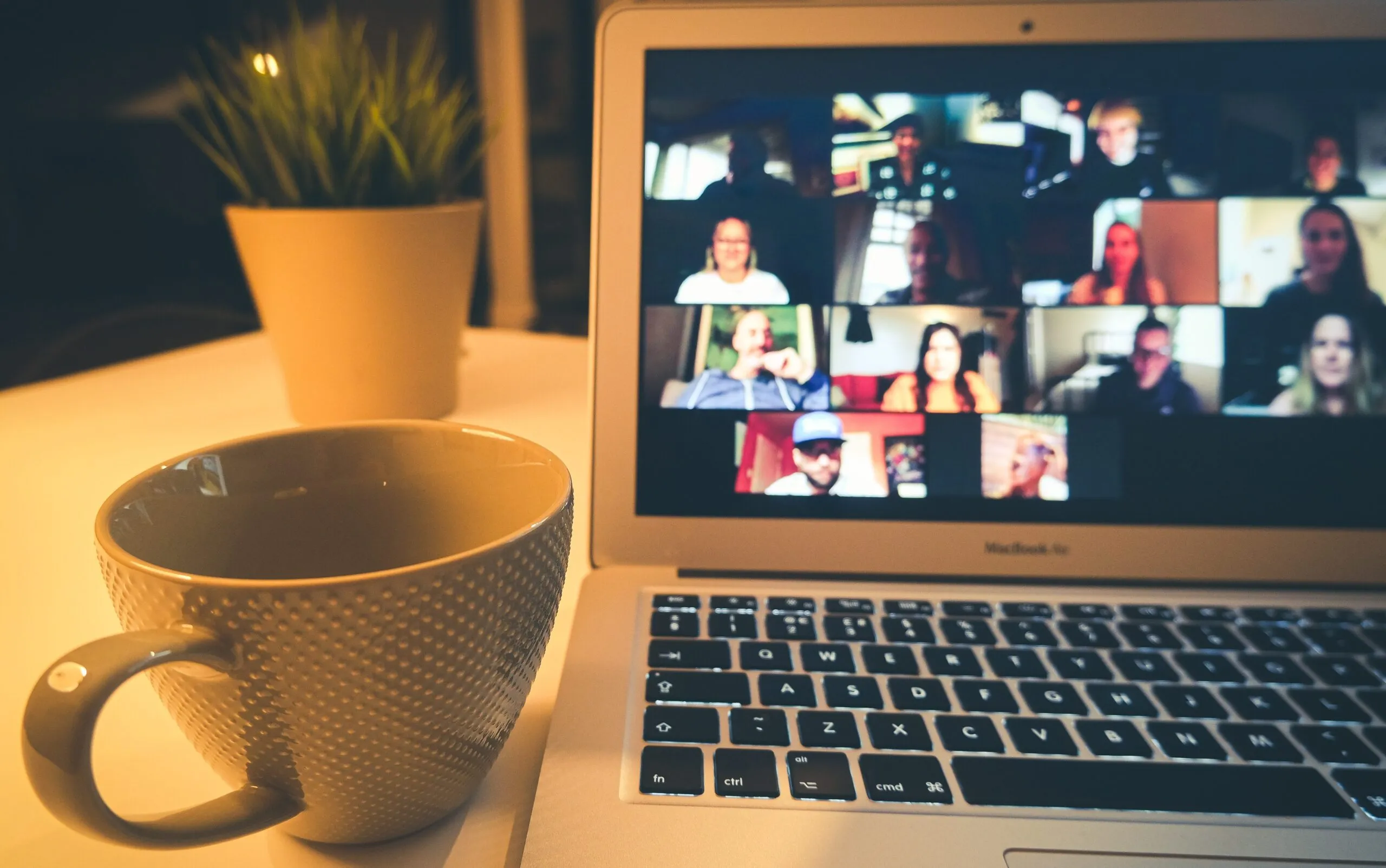 teleconference with coworkers